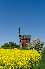 Image showing Old wooden windmill surrounded of spring season colors