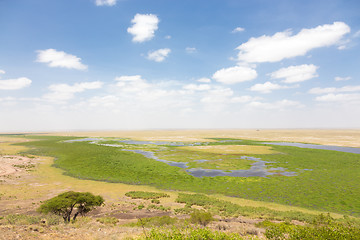 Image showing Panoramiv view of Amboseli national park, wildlife conservation area in Kenya.