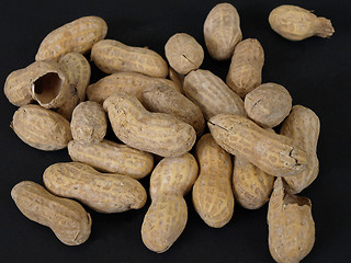 Image showing Peanuts