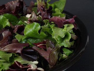 Image showing Greens Salad