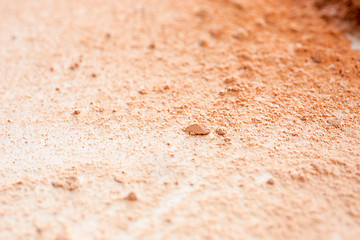 Image showing Close-up of crushed mineral shimmer powder golden color with makeup brush