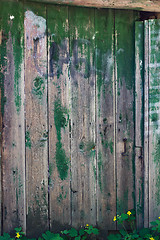 Image showing Vintage wood background