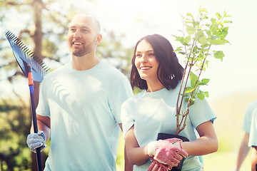 Image showing group of volunteers with trees and rake in park