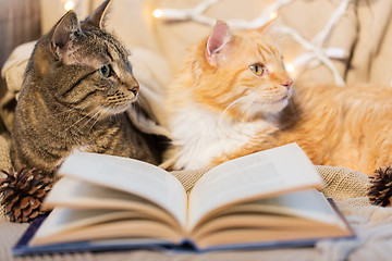 Image showing two cats lying on sofa with book at home