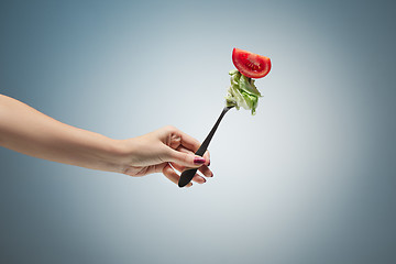 Image showing Beautiful woman hand holding a red rose