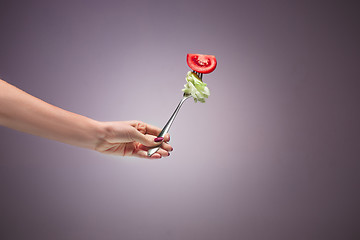 Image showing Beautiful woman hand holding a red rose