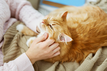 Image showing close up of owner with red cat in bed at home