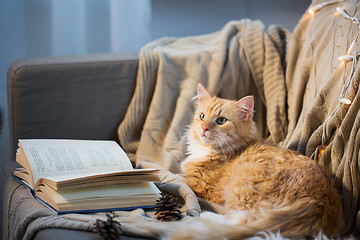 Image showing red cat lying on sofa with book and cones at home