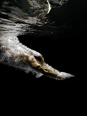 Image showing diving