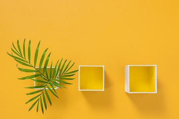 Image showing Palm tree leaves in boxes on bright yellow background