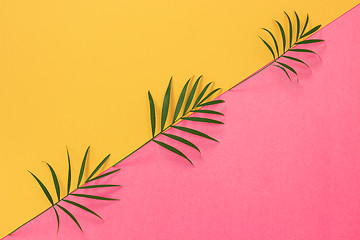 Image showing Palm leaves on colorful yellow and pink background