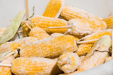 Image showing Frozen Corn