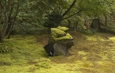 Image showing Moss garden