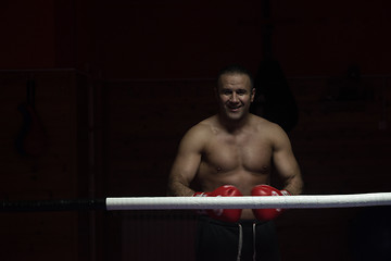 Image showing portrait of muscular professional kickboxer