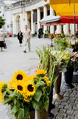 Image showing flowers on the street