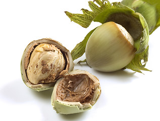 Image showing hazelnut close-up