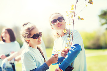 Image showing volunteers family with tree seedling in park