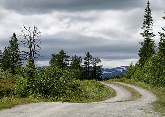 Image showing Rural landscape