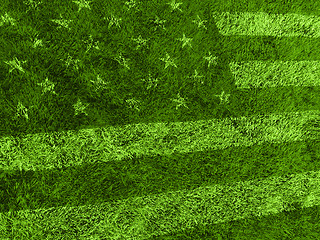 Image showing American flag grass