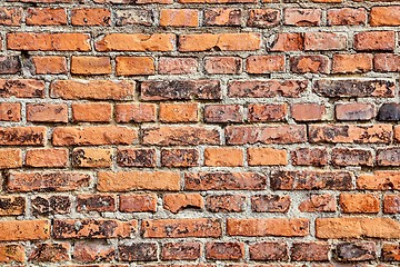 Image showing Brick Wall Closeup