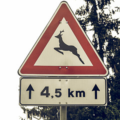 Image showing Vintage looking Wildlife danger sign