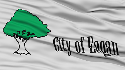 Image showing Closeup of Eagan City Flag