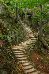 Image showing Stairs between rocks