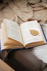 Image showing book with autumn leaf on page on sofa at home