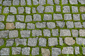 Image showing Road paved with stones and sprouted green moss 