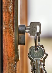 Image showing Open garden gate with key