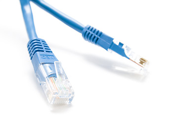 Image showing twisted-pair cable