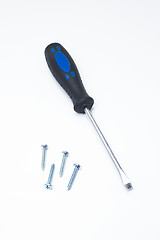 Image showing Blue screwdriver