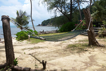 Image showing Cozy hammock in attached to tree