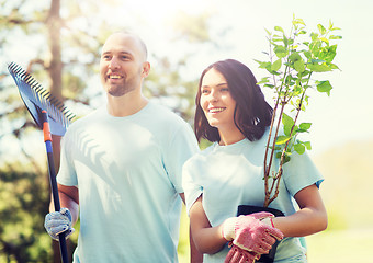 Image showing volunteer couple with trees and rake in park