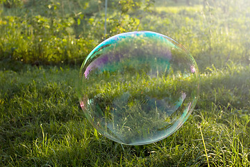 Image showing Big soap bubble flying in the air