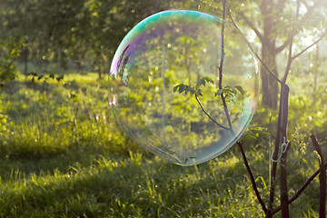 Image showing Big soap bubble flying in the air