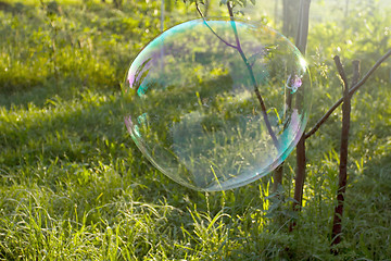 Image showing Big soap bubble flying in the air