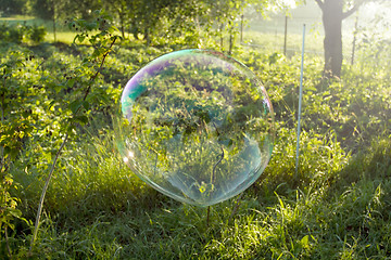 Image showing Big soap bubble flying in the air