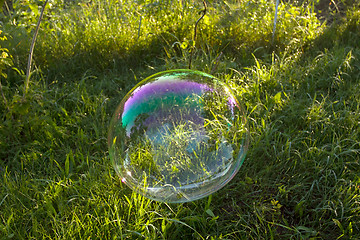 Image showing Big soap bubble flying in the air