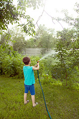 Image showing Boy playing with a sprinkler in the garden