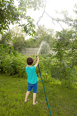 Image showing Boy playing with a sprinkler in the garden