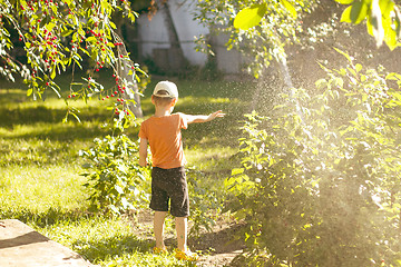 Image showing Boy playing with a sprinkler in the garden