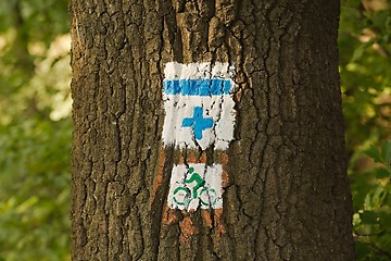 Image showing Hiking trail signs