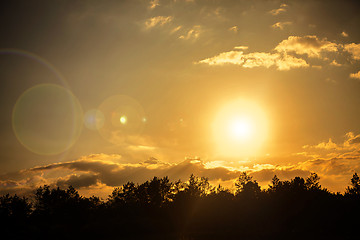 Image showing sun over forest at summer 