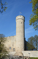 Image showing Pikk Hermann tower of Toompea Castle, Tallinn, Estonia