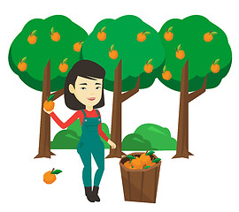 Image showing Farmer collecting oranges vector illustration.