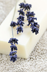 Image showing Lavender soap