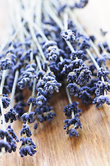 Image showing Dried lavender