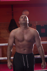 Image showing portrait of muscular professional kickboxer