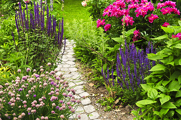 Image showing Path in blooming garden